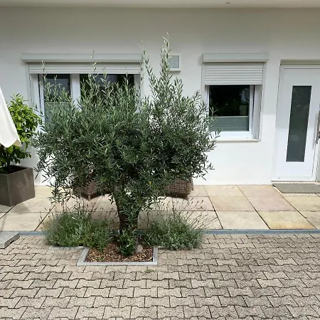 Apartment Am Weinberg Deidesheim Exterior foto